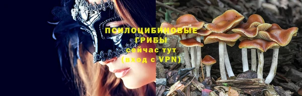 соль курить ск Бугульма