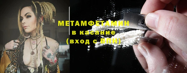 шишки Бородино