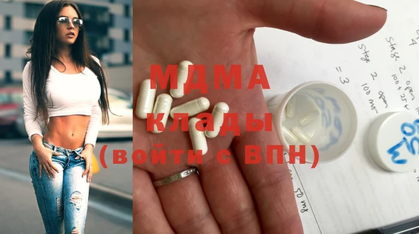 шишки Бородино