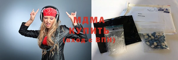 шишки Бородино