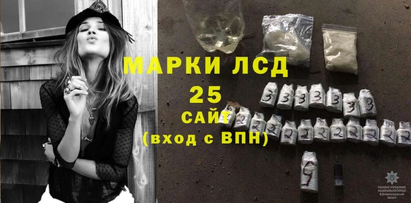 шишки Бородино