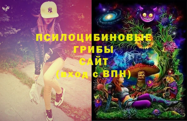 шишки Бородино
