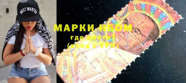 шишки Бородино
