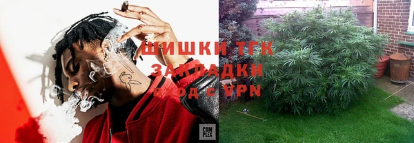 шишки Бородино