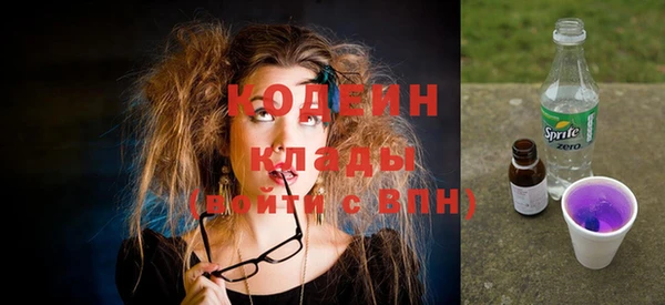 шишки Бородино