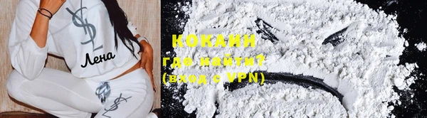 шишки Бородино