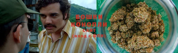 шишки Бородино